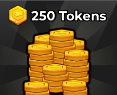 250 Tokens